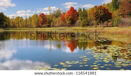 Fall colors reflecting on a calm Michigan pond . USA