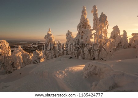 A landscape covered with snow at a mountain ski resort at sundown. Vuokatti Finland
