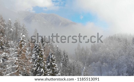 AERIAL: Beautiful view of forest covered mountain on a foggy day in winter. Magical snowy landscape covered in the mist. Flying over the woods after a blizzard in the picturesque Slovene countryside.