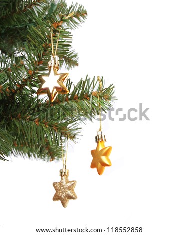 gold stars on Christmas tree branch, isolated on white background