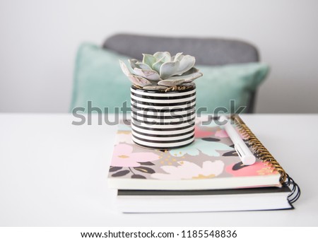 A feminine styled stock office photo with peach and teal colors, a white desk, teal pillow and succulent.