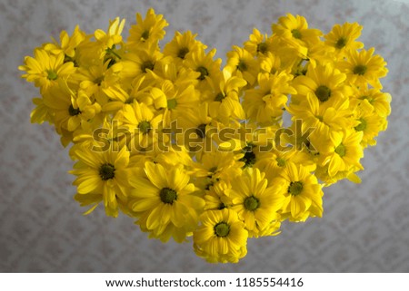 Yellow petals of chrysanthemum. Flowers in the form of heart. A photo of flowers on a mirror.