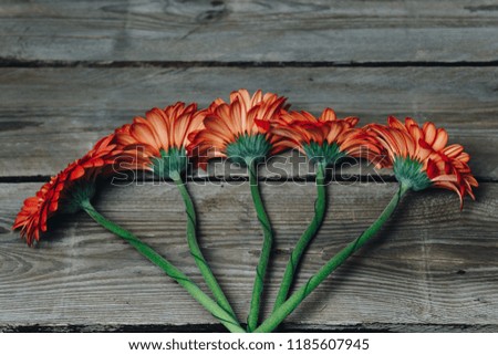 flowers gerbera orange on a wooden background. still life. photo of a bouquet in autumn colors. advertising, beauty salon, birthday