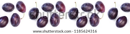 panorama purple plums large ripe on a white background