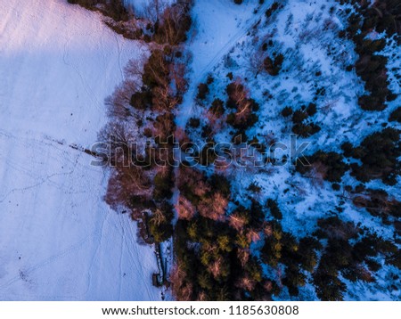 A meadow covered in snow and ice with trees that throw their shadows. Weird shapes become visible seeing the landscape from above.
