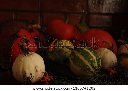 The concept of Halloween, pumpkins and spiders on a dark background.
