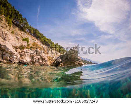 Seagull on the rock in Adriatic sea