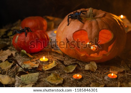 Halloween pumpkin lantern on a black background