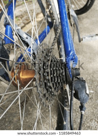 Bicycle Gear and Multi Gear Chain