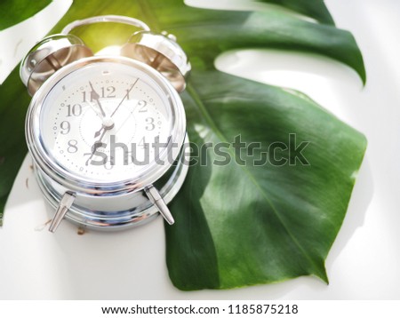 alarm clock with flowers on white table