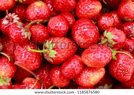 background from freshly harvested strawberries. Top view. Food background