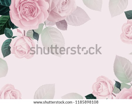Floral card. Flowers roses pink background. Floral frame for design wedding invitations, greetings, business card, decoration floral shops, packaging, shop windows, signboards. Vintage illustration
