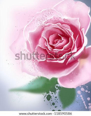 Rose. watercolor