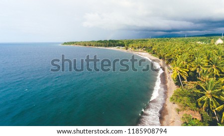 Aerial view of tropical beach with ocean and green palm tree in Lombok Island, Indonesia