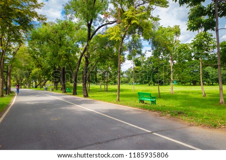 Gorgeous green trees and green grass with nice blue sky in Summer. Bench on the grass for relaxing in sunny day - Bangkok, Thailand Royalty-Free Stock Photo #1185935806