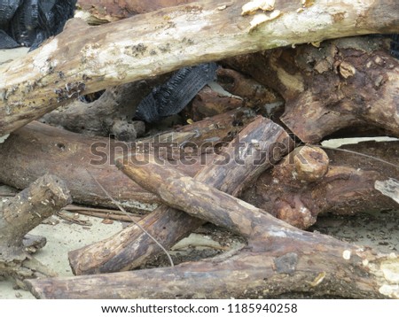 a pile of  cut up wooden log