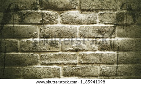 Blank bricks wall of different colour tone. 