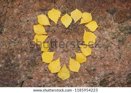 Autumn golden yellow birch leaves placed like a heart shape on granit background. Love concept.