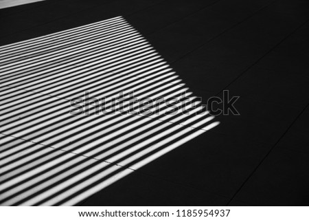 black and white art photography shadow line interior pattern abstract.