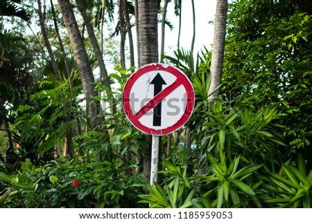 No straight ahead sign in the jungle