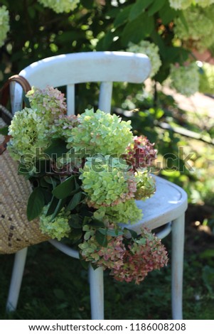 Bouquet of hydrangea in old authentic market wicker basket, traditional handwoven shopping bag on aged, weathered  wooden chair, bush background, natural daylight, vintage style, vertical photo 