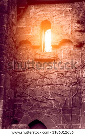 Mystical abstract image with light in the window of an ancient castle with shaded walls (Halloween, October 31 - concept)