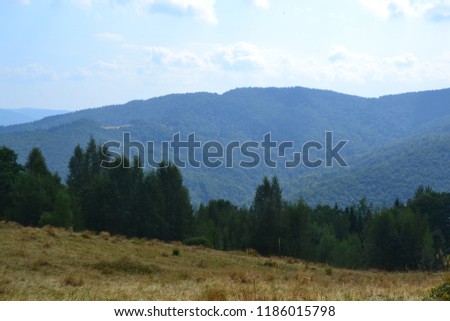 Carpathian mountains and lawns in the summer