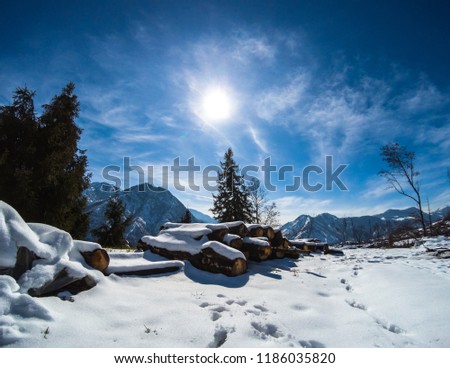 Snowy Landscape with some snowy trees, one woodpile and and sunny sky. Photo Winter edition.