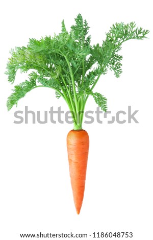 carrot isolated on white background Royalty-Free Stock Photo #1186048753