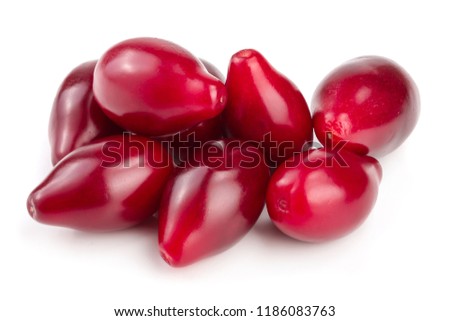 Red berries of cornel or dogwood isolated on white background