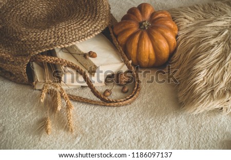 Old books and vintage straw bag on white warm plaid with pumpkin, wheat, physalis, acorns and walnut. Books and reading. autumn mood. Autumn time. cozy autumn decor. soft selective focus