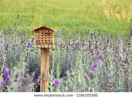 An insect hotel, also known as a bug hotel or insect house in the middle of lavender’s flowers. Royalty-Free Stock Photo #1186105585