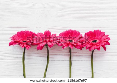 Pink gerbera on white  wooden background,  flat lay with space for text. Bright Floral greeting card mockup. Wedding invitation, happy mother day or Valentine day concept.