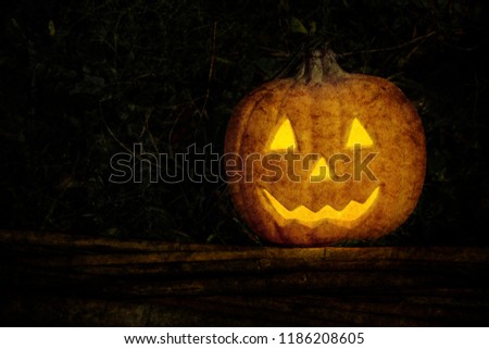 Halloween and darkness theme. Put grain in picture to make an image feel a mystery. Head pumpkin Jack o lantern in forest filled with weeds on night dark background which has dim light and copy space.