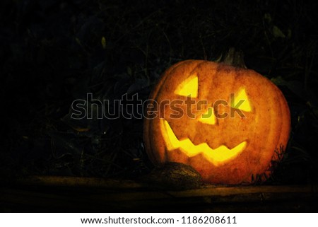 Halloween and darkness theme. Put grain in picture to make an image feel a mystery. Head pumpkin Jack o lantern in forest filled with weeds on night dark background which has dim light and copy space.