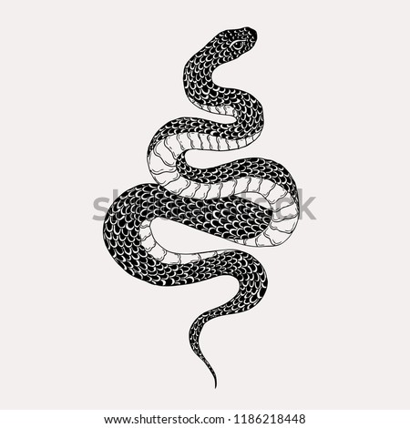 Hand drawn vintage snake illustration. Graphic sketch for posters, tattoo, clothes, t-shirt design, pins, patches, badges, stickers.