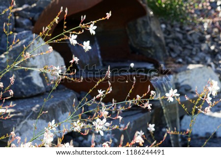 Gaura flowers with a garden cascade from a rusty sphere blurred in the background                              