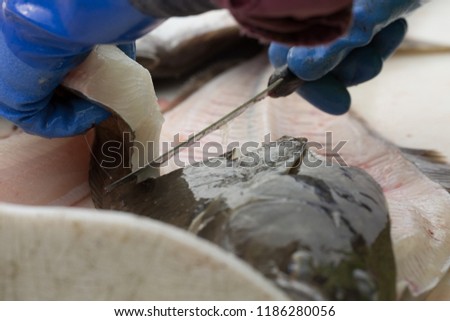 Filet of halibut
