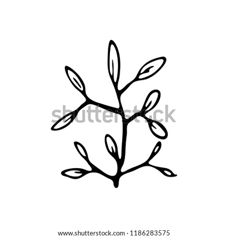 Hand drawn plant doodle icon. Hand drawn black sketch. Sign symbol. Decoration element. White background. Isolated. Flat design. Vector illustration.