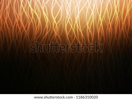 Dark Orange vector pattern with curved circles. Glitter abstract illustration with wry lines. The best blurred design for your business.