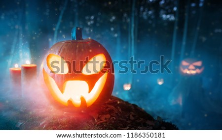 Spooky halloween pumpkins in forest. Scary halloween background with free space for text.