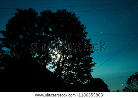 Night landscape with the moon through the silhouette of a tree