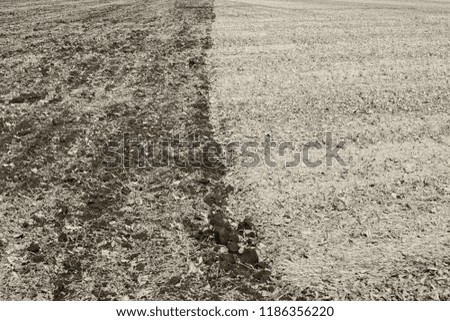 In the shot view of the field after harvest harvested barley. Half the field is plowed. Photographed in Ukraine. Poltava region. Horizontal frame. Black and white image