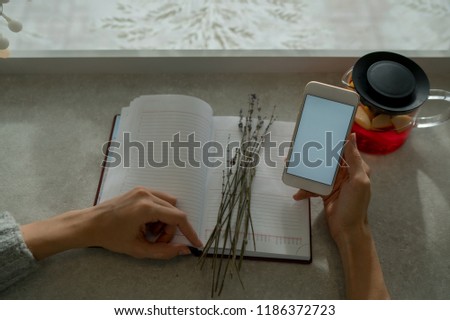Selective focus on cellphone in hands. Close up view of woman internet user checks notification on mobile phone sitting front window, female person using modern devices and connecting to network.