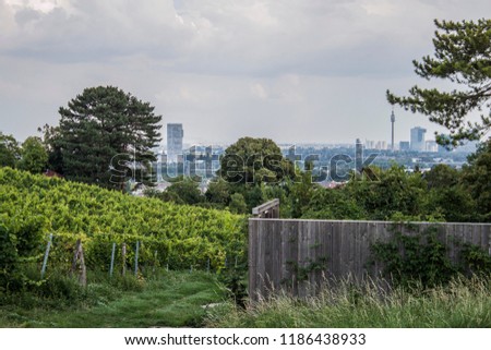 View of the city of Vienna from Kahlenberg Hill wine country with storm clouds over the horizon Famous European wine regions Austria, Central Europe
