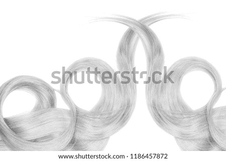 Gray hair isolated on white background. Long beautiful ponytail in shape of circle