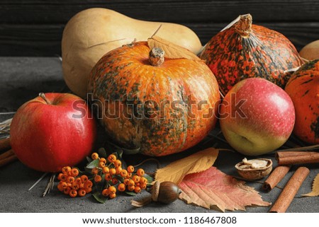 Composition with different pumpkins on gray table. Autumn holidays