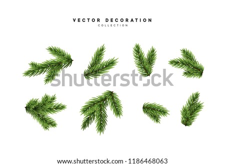 Set of pine spruce green branches. Christmas decorative elements in realistic design. vector illustration