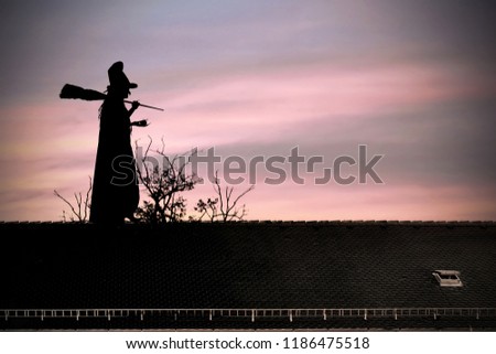 Halloween witch on the roof