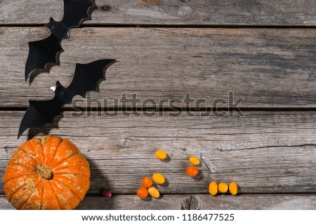 happy halloween pumpkins, spiders, horror stories and more on a wooden background